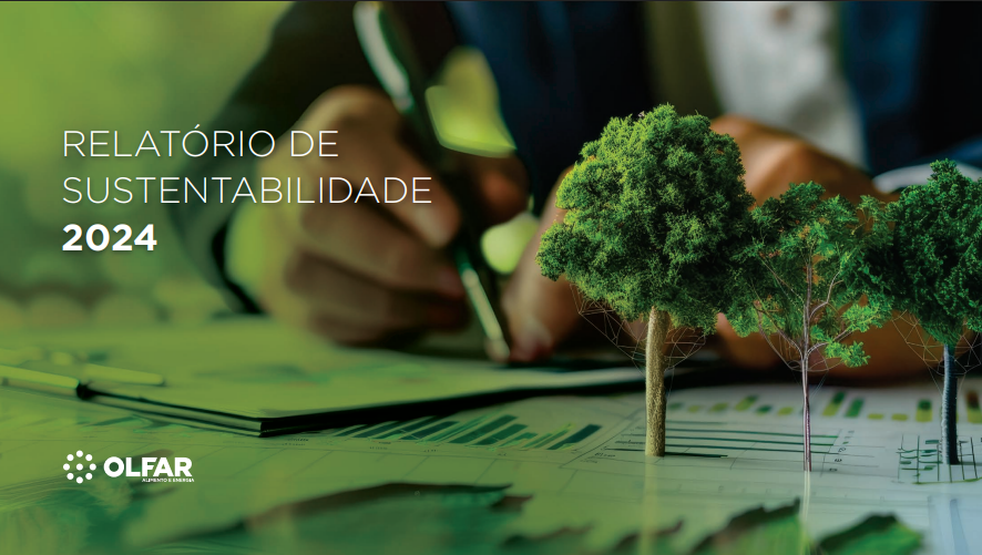 Captura de tela 2025-11-06 164633