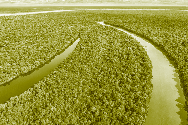 Empresas discutem na COP30 transição e adaptação em parceria com comunidades de entorno